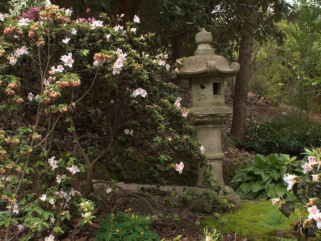 UC Botanical Garden, Berkeley, California