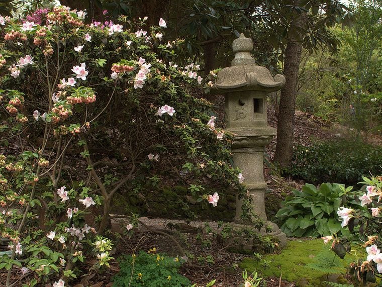 UC Botanical Garden