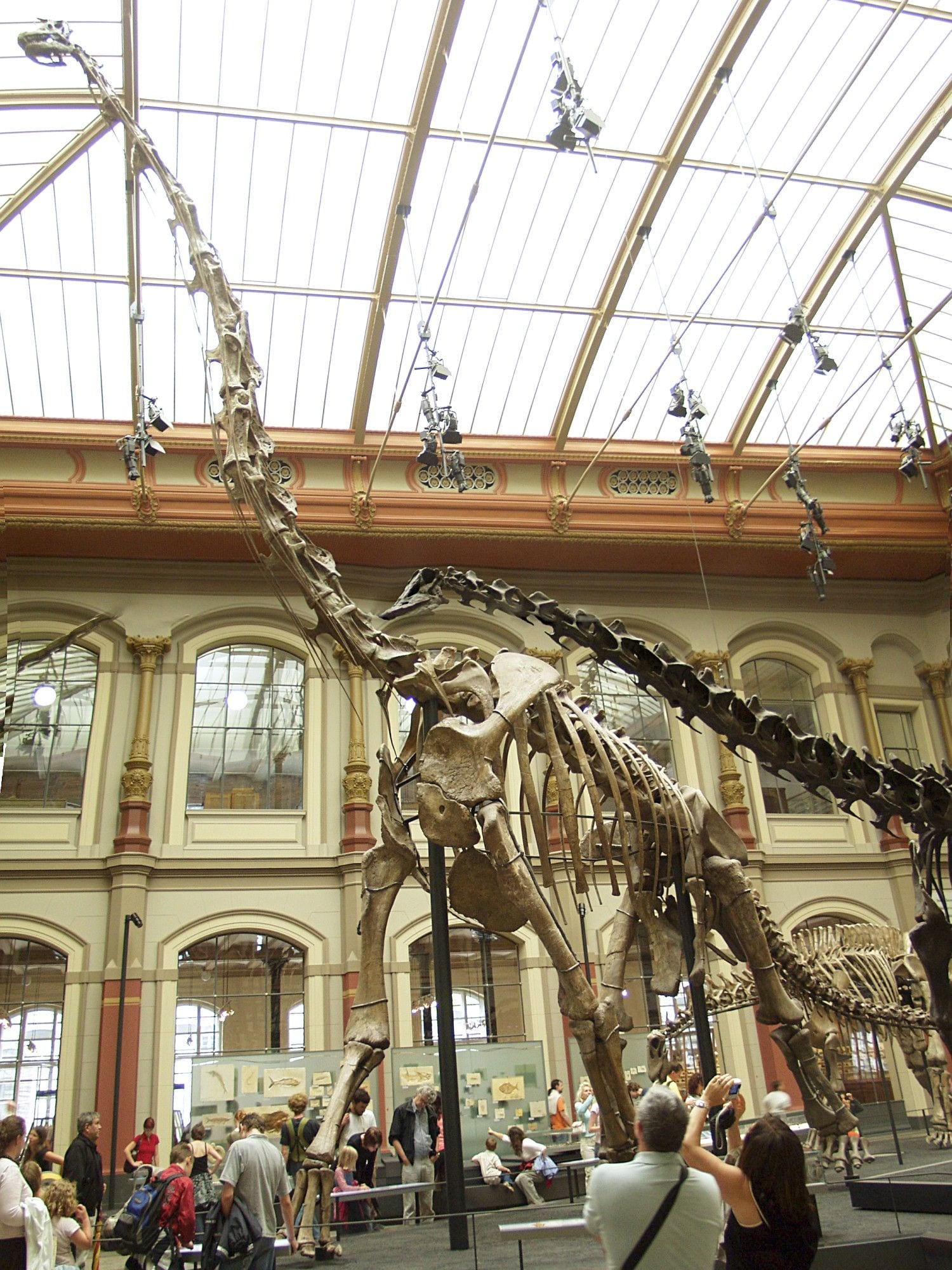 Museum für Naturkunde Berlin, Germany