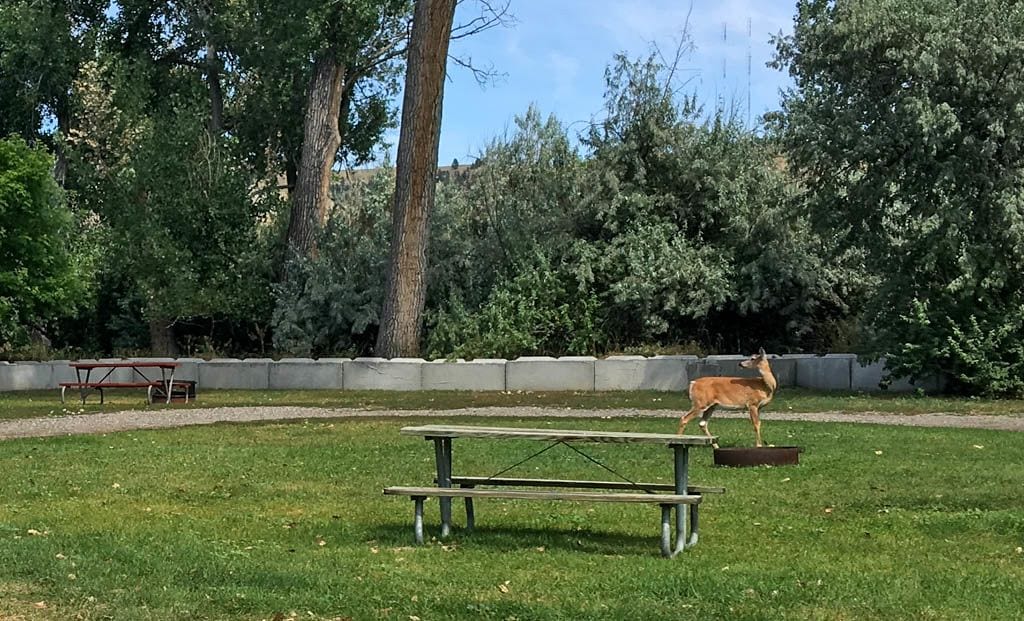 Pioneer Park, Billings, Montana