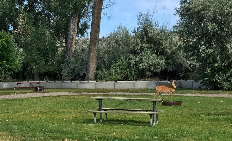 Pioneer Park