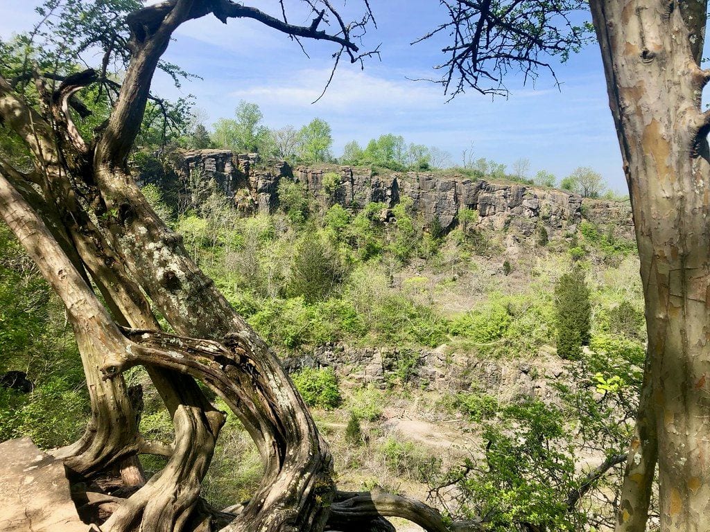 Ruffner Mountain Nature Preserve, Alabama