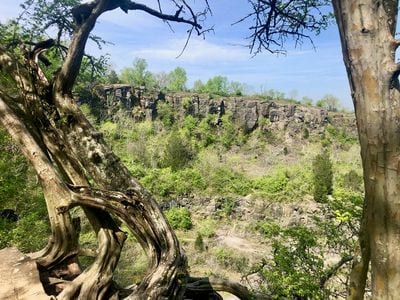 Ruffner Mountain Nature Preserve