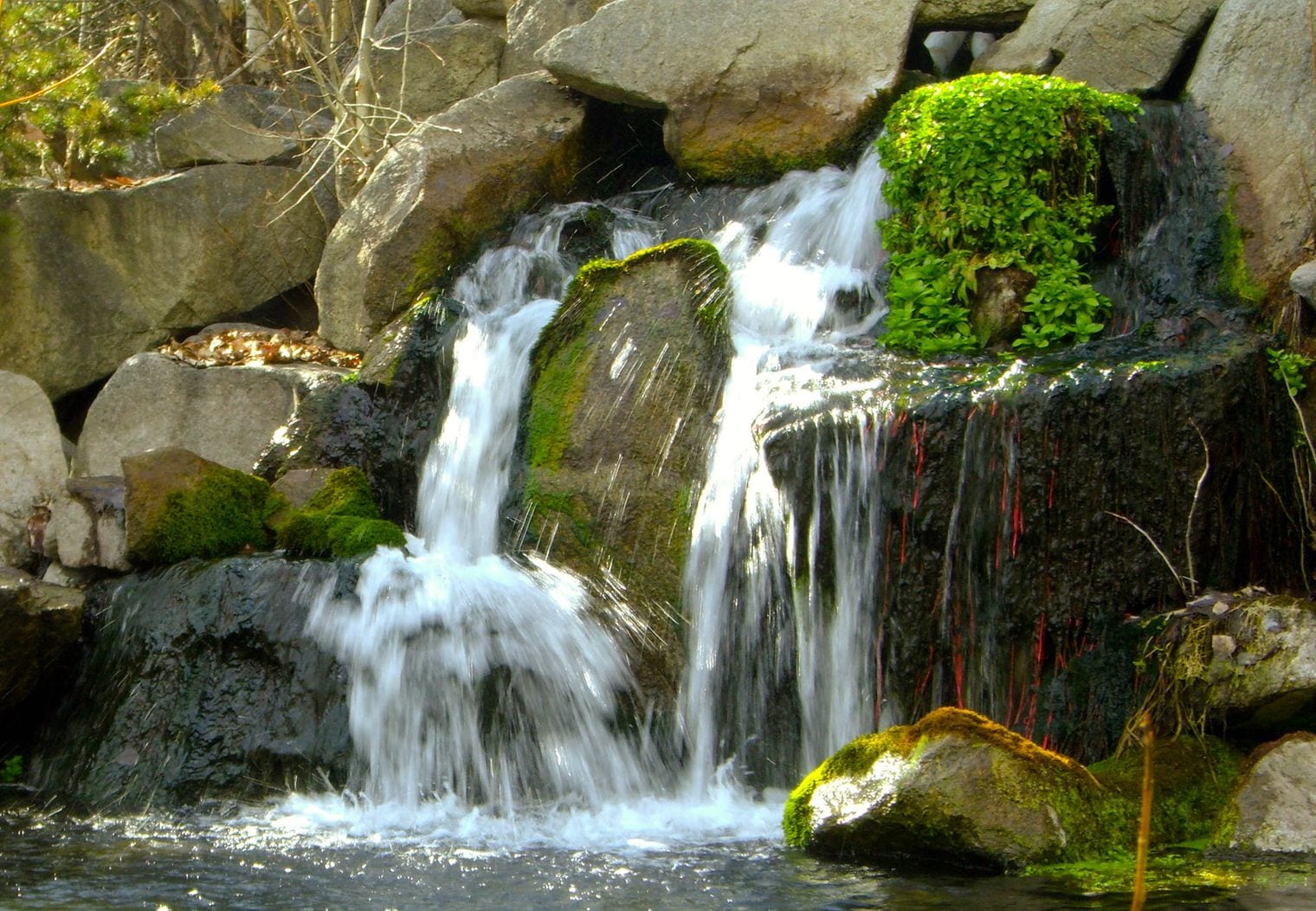 MK Nature Center, Idaho