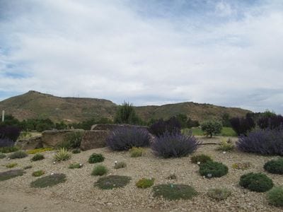 Idaho Botanical Garden