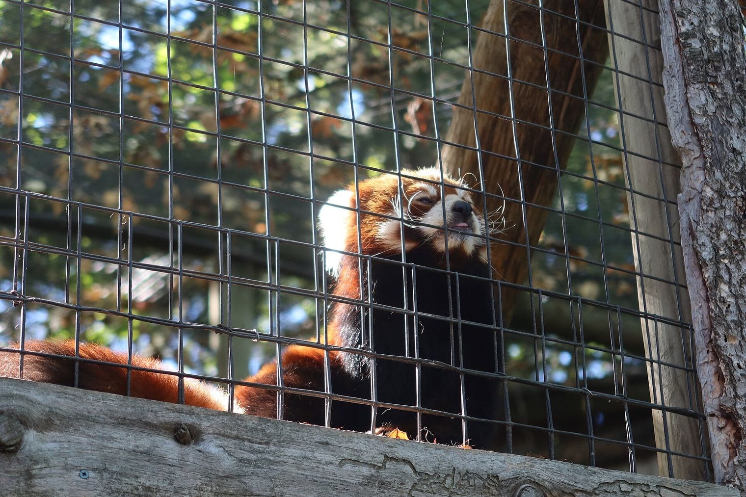 Zoo Boise, Idaho
