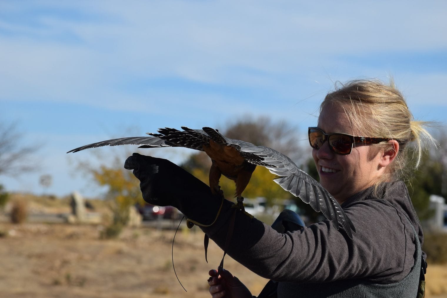 World Center for Birds of Prey, Idaho