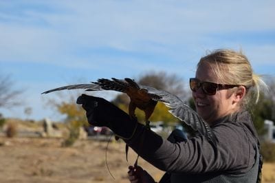 World Center for Birds of Prey