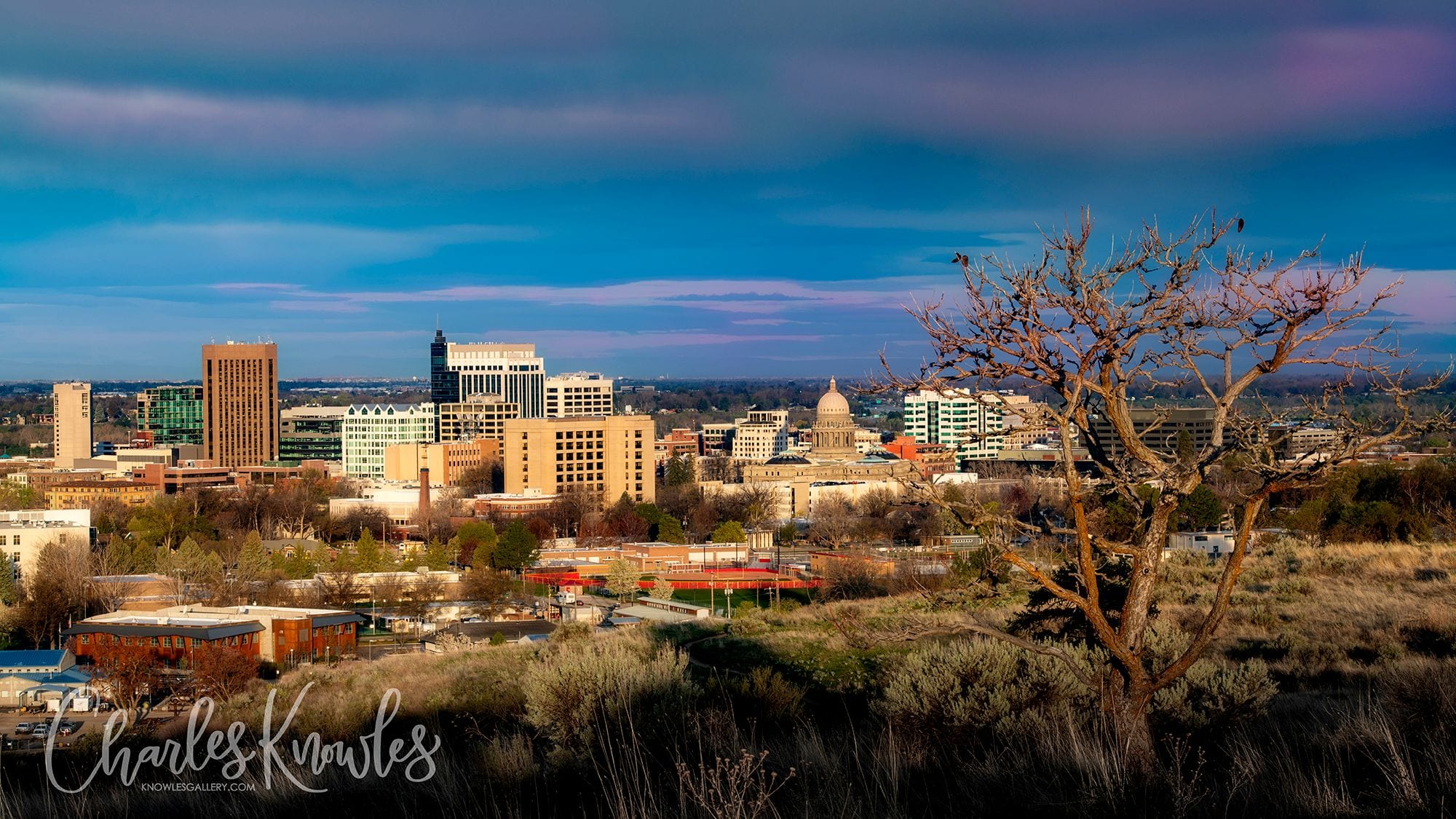 Downtown Boise skyline at golden hour, seen from a hillside in the Boise Foothills, Idaho