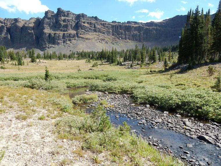 Gallatin Canyon