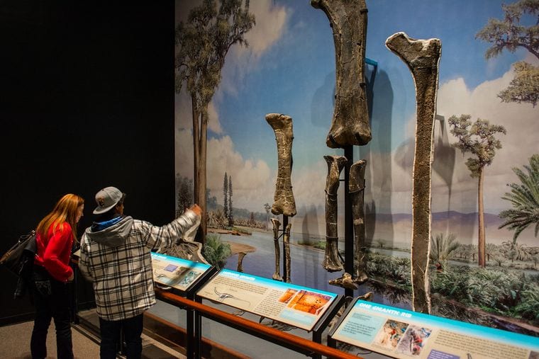 Museum of the Rockies