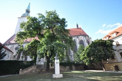 St. Martin's Cathedral