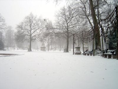 Parc de Bruxelles