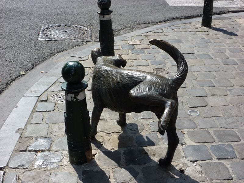 Zinneke Pis, Belgium