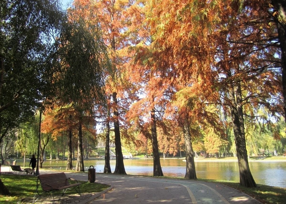 Alexandru Ioan Cuza Park, Romania