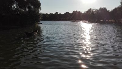Tineretului Park