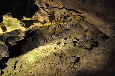 Pálvölgyi Cave