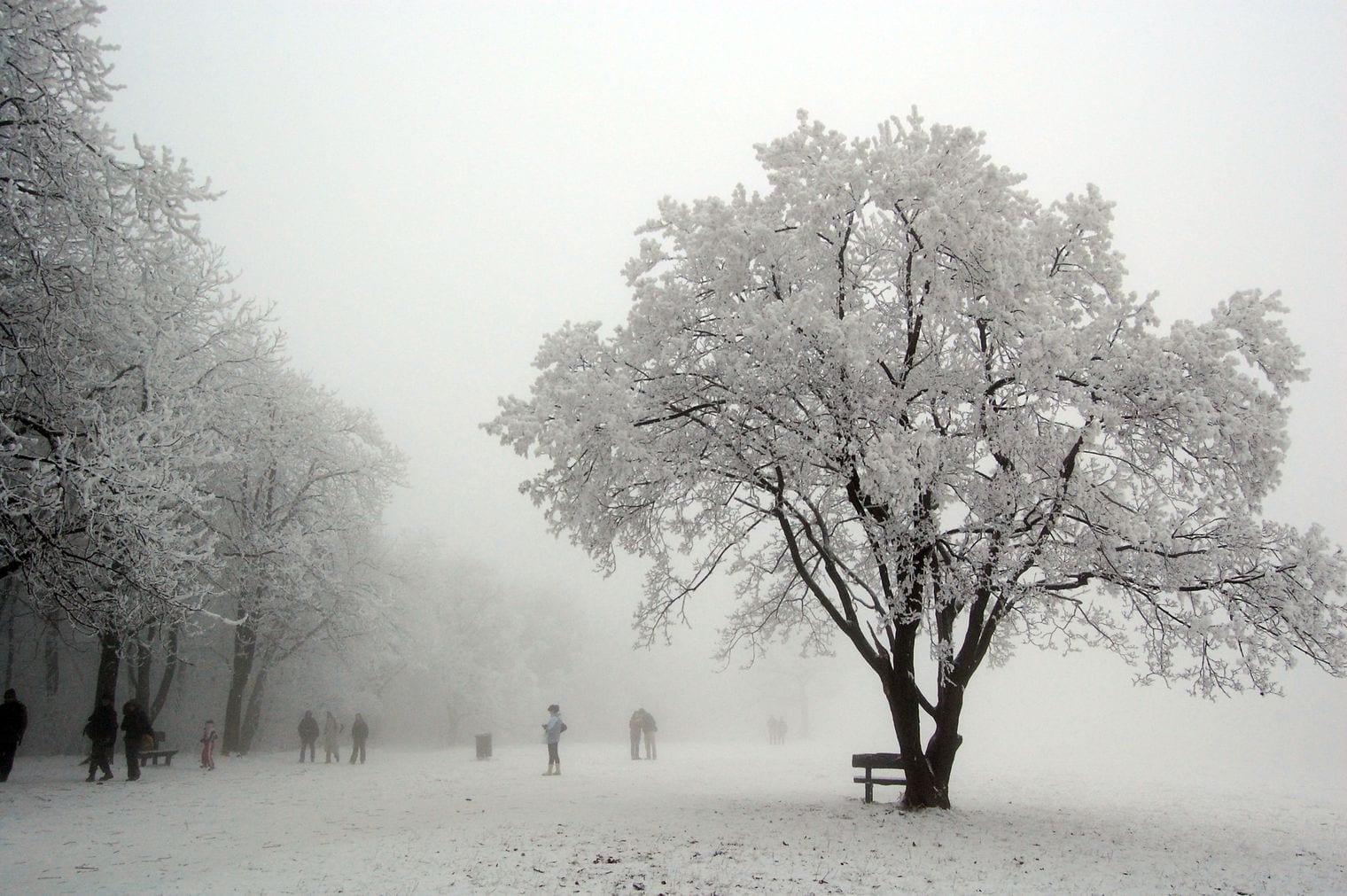 Normafa Park, Hungary