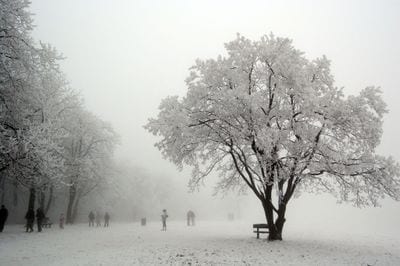 Normafa Park