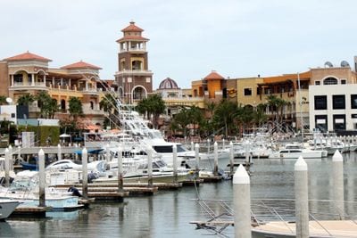 Marina Cabo San Lucas
