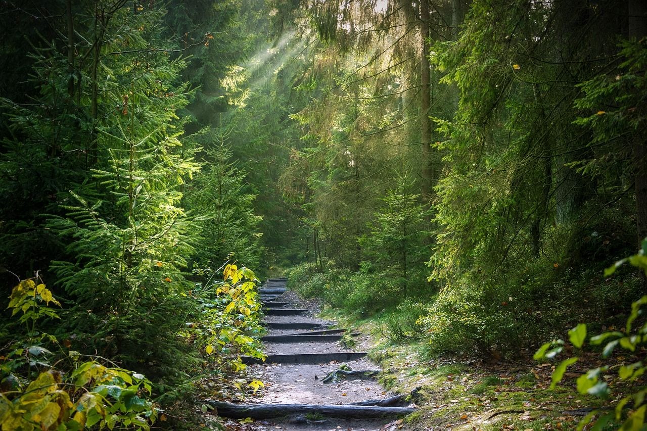Parque Ecológico Kabah, Mexico