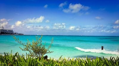 Playa Langosta