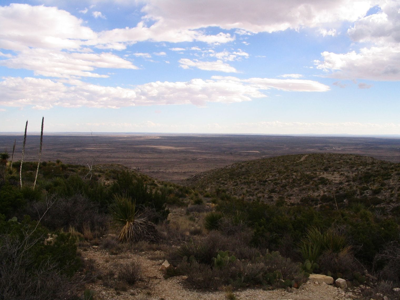 Guadalupe mountains national park Carlsbad NM