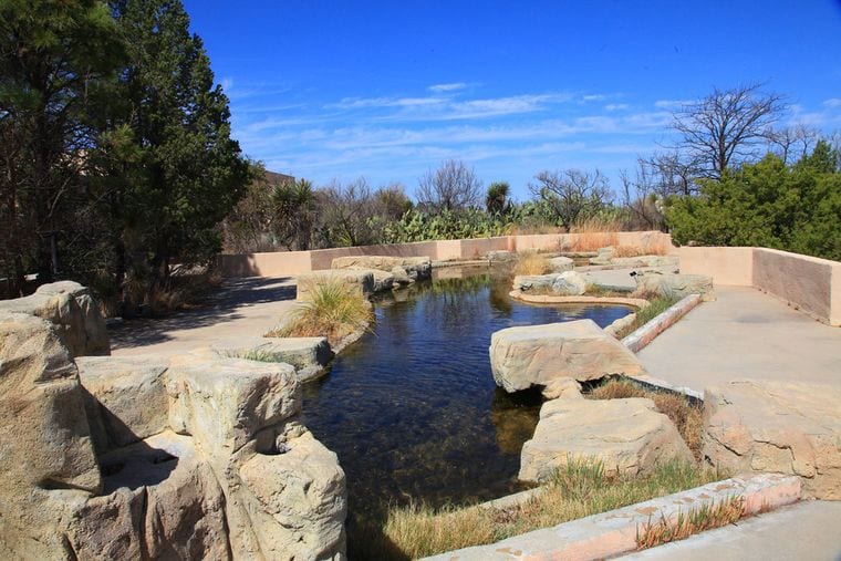 Living Desert Zoo & Gardens State Park