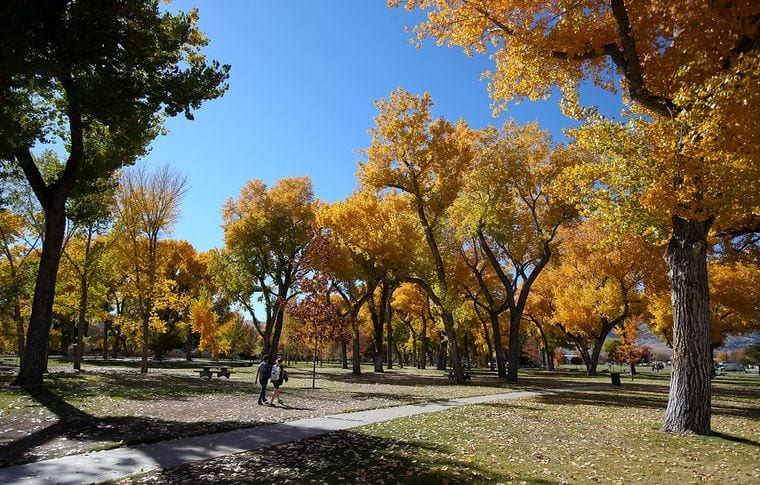 Mills Park