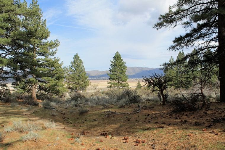 Davis Creek Regional Park
