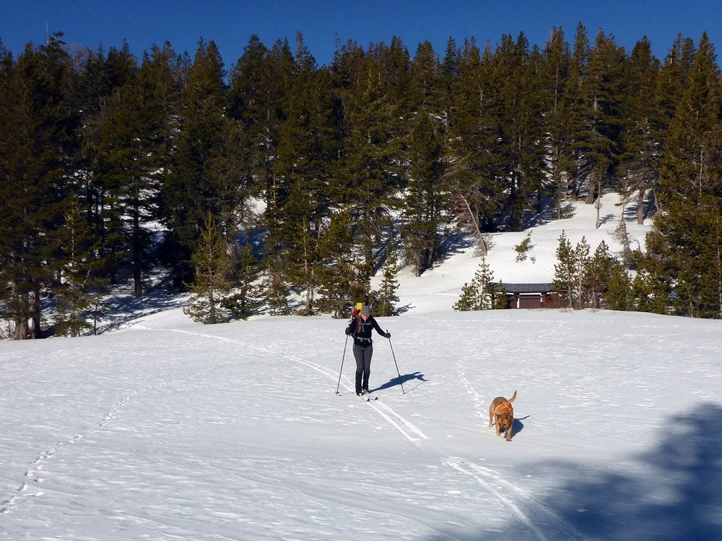 Mt. Rose Ski Tahoe, Carson City, Nevada