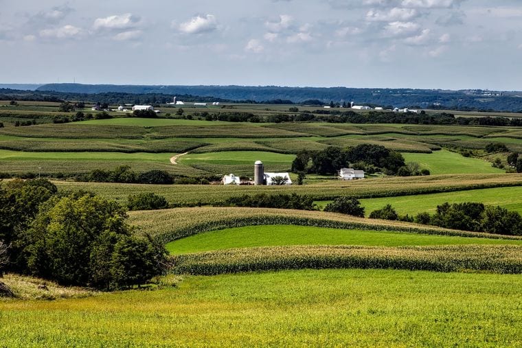 Bloomsbury Farm