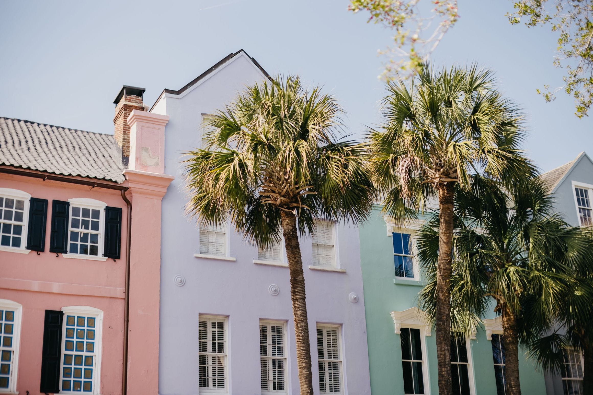 Pastel-colored historic townhouses with palmetto palms in Charleston, South Carolina