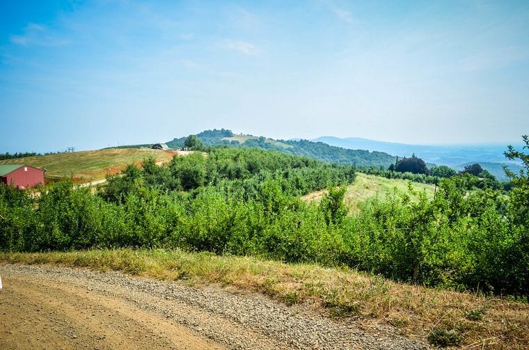 Carter Mountain Orchard and Country Store