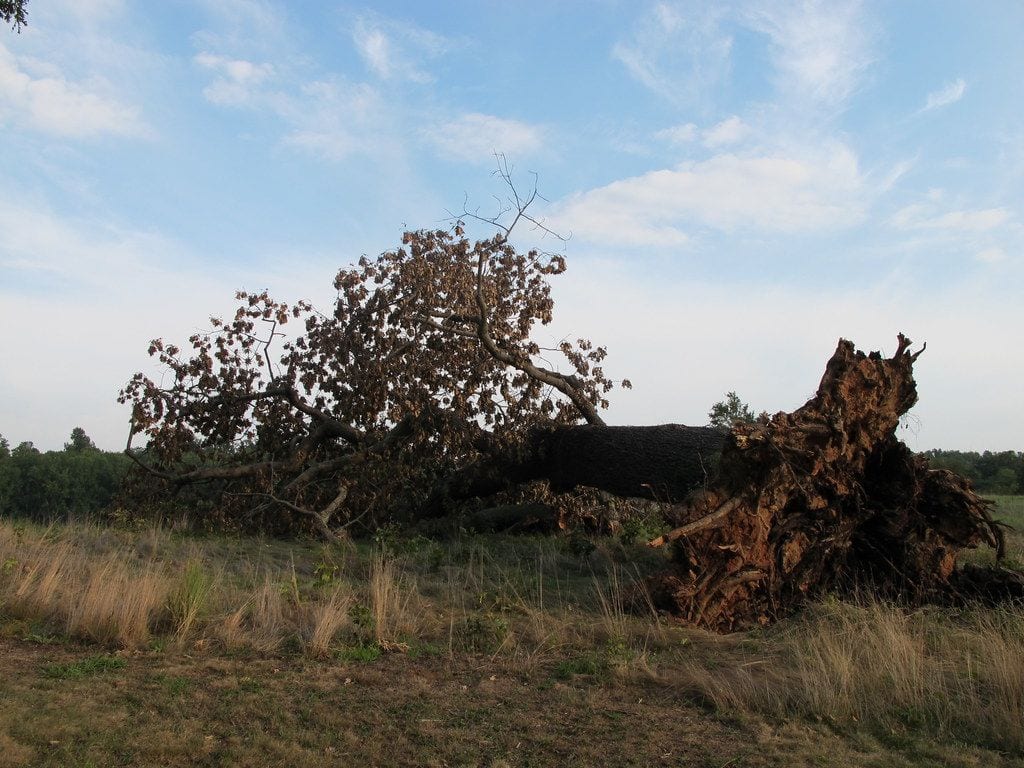 McIntire Park, Charlottesville, Virginia