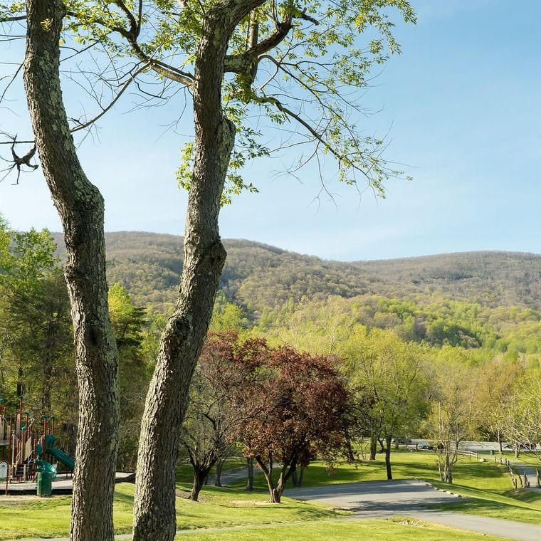 Greenleaf Park
