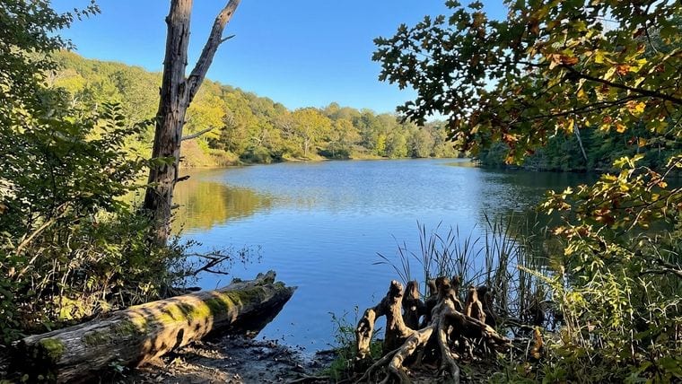 Ivy Creek Natural Area