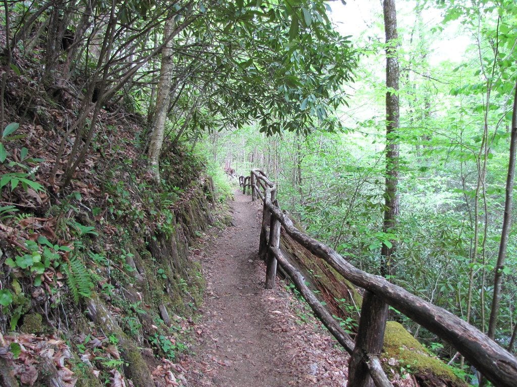 Joyce Kilmer Memorial Forest, Cherokee, North Carolina