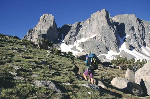 Shoshone National Forest, Cody, Wyoming