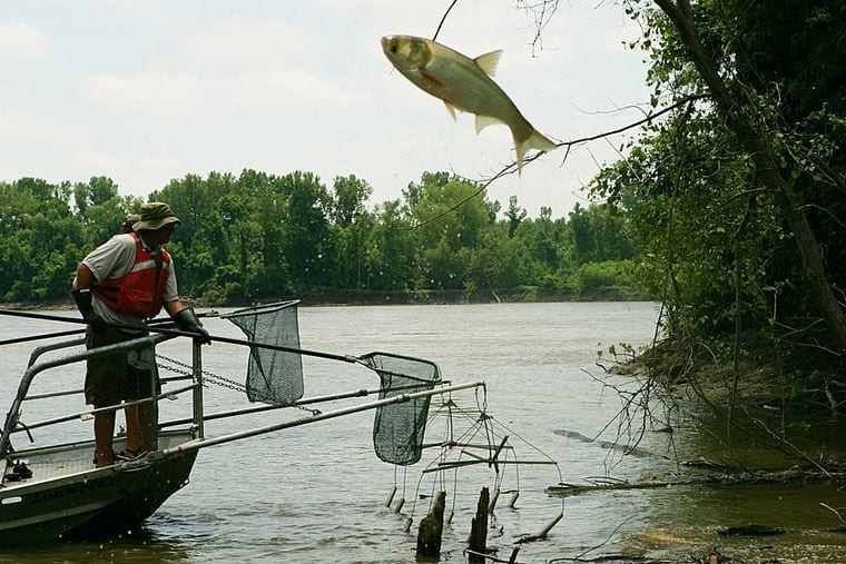 Big Muddy National Fish And Wildlife Refuge