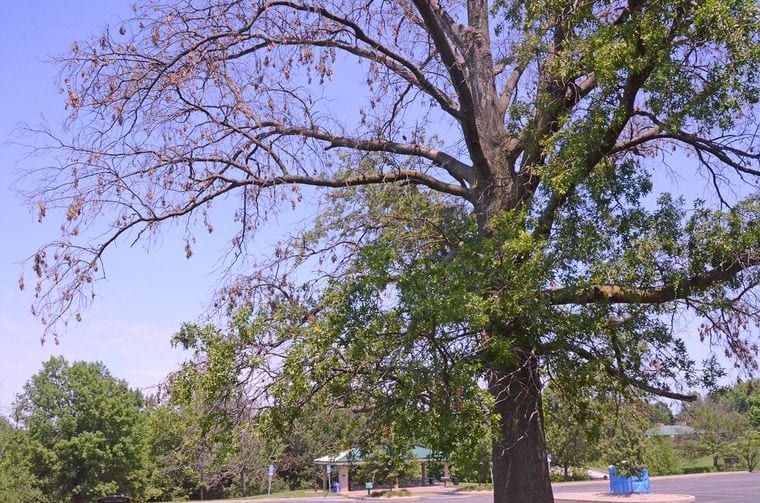 Columbia Cosmopolitan Recreation Area