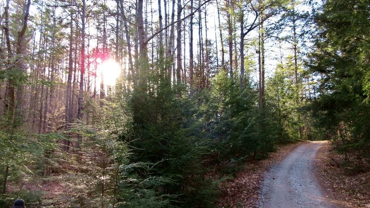 Bear Brook State Park