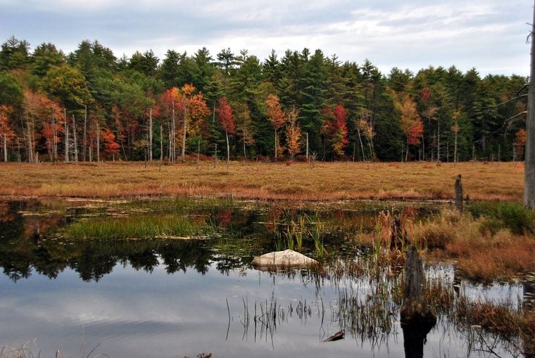 Pawtuckaway State Park
