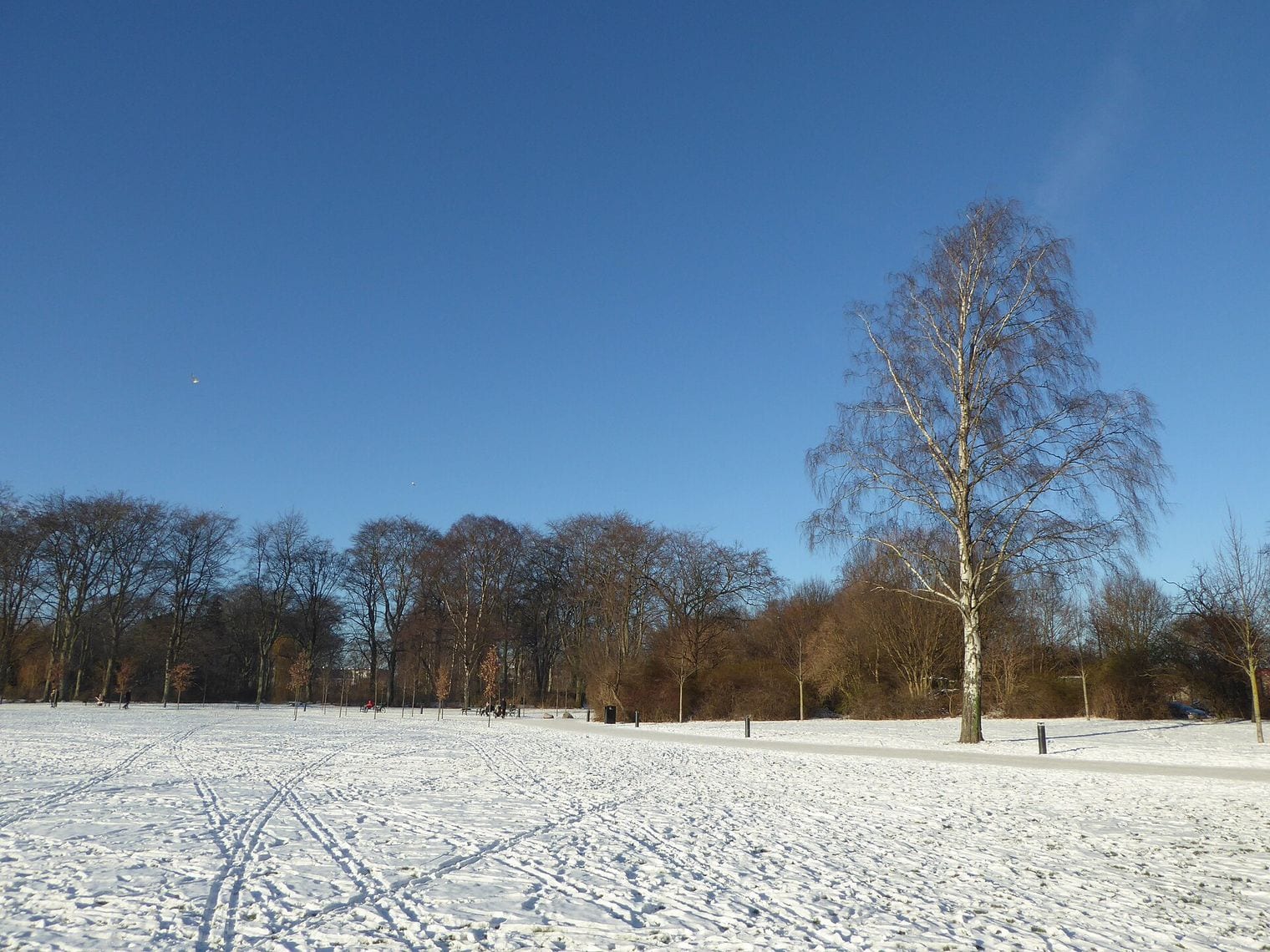 Fælledparken, Denmark