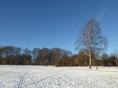 Fælledparken