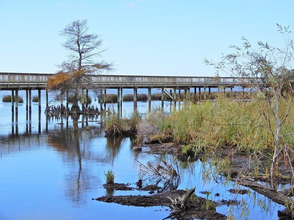 Duck Town Park and Boardwalk in Corolla NC