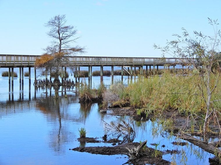 Duck Town Park and Boardwalk