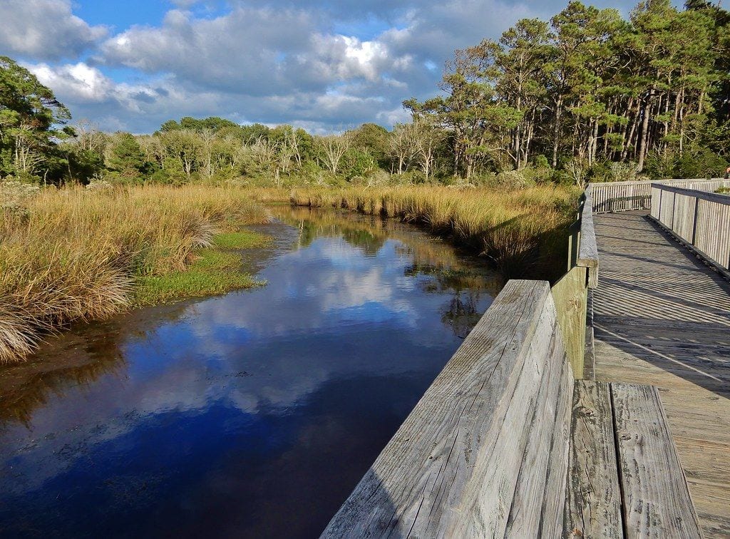 Currituck Banks Estuarine Reserve, Corolla, North Carolina