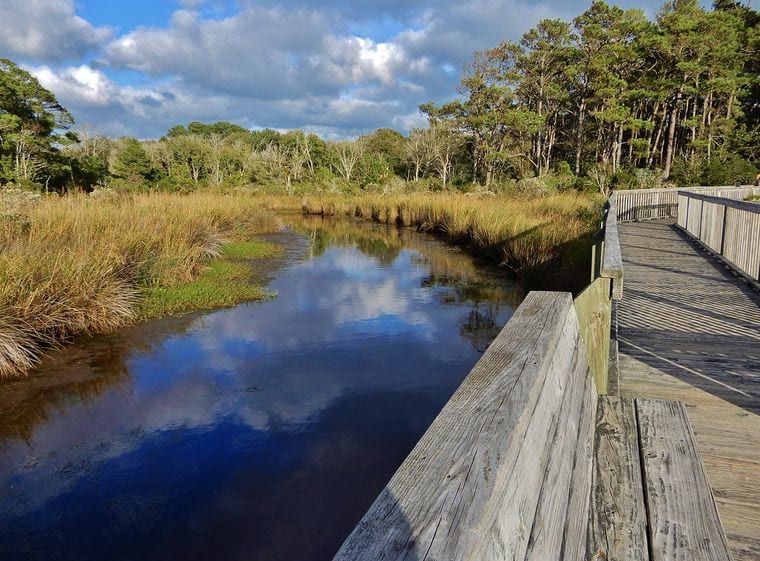 Currituck Banks Estuarine Reserve