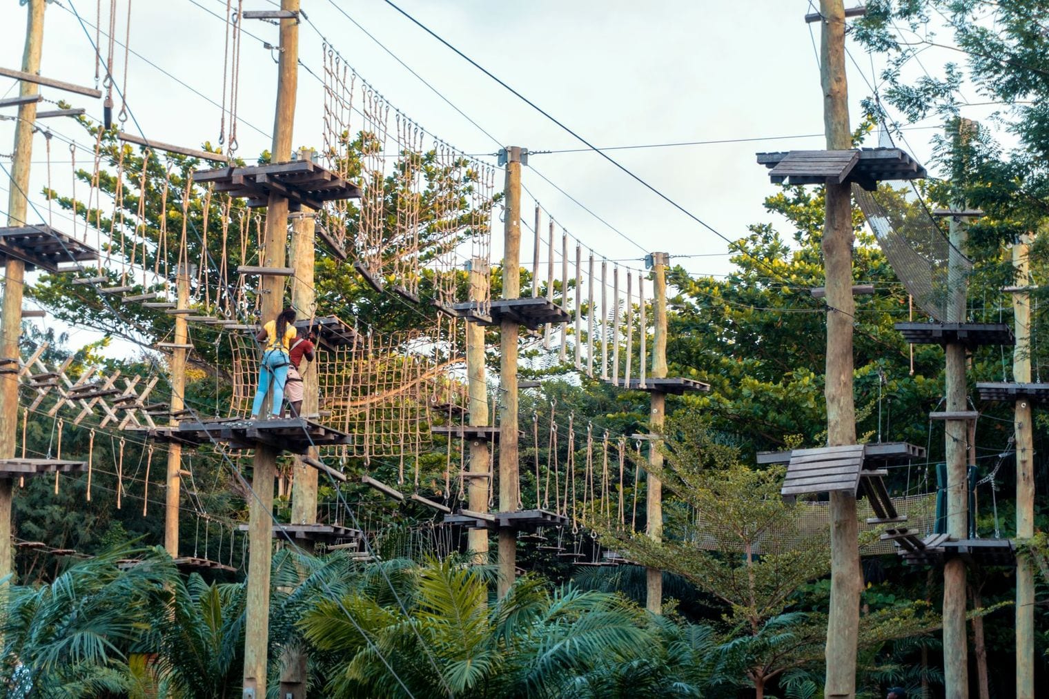 Corolla Adventure Park